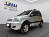 Fiat FIAT Panda Panda Classic 5p 4x4 1.3 m-jet 70cv C - Fiat Panda Classic