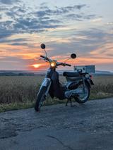 Honda Little Cub 50 (C50)  - Angebote entsprechen deinen Suchkriterien