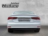 Audi A5 Sportback 2.0 TFSI Sport quattro 3 x S-Line L - Audi A5 Gebrauchtwagen in Köln