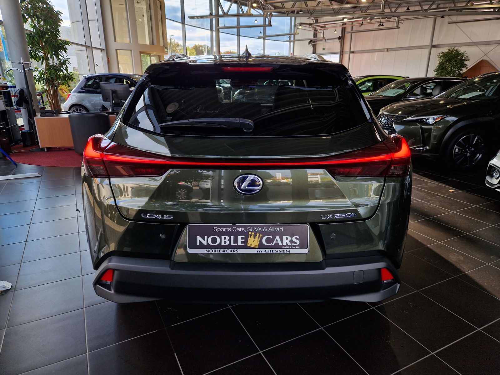 Fahrzeugabbildung Lexus UX 250 h Style LED ALU