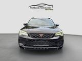 Cupra Ateca 4Drive/Race/Pano/360°/ACC/Carplay/Beats/ - Cupra Ateca aus 2019