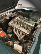 Alfa Romeo Giulia Rennwagen Sportwagen  - Alfa Romeo Giulia Sport Gebrauchtwagen