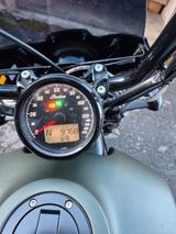 Indian Scout Rogue - INDIAN SCOUT ROGUE