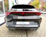 Cupra Formentor 1.5 eTSI 110 kW - Cupra Formentor in Krefeld