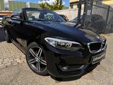 BMW 218i Cabrio Autom.LEDER LED NAVI - BMW 218 in Berlin