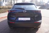 Mazda CX-30 2.0 M-Hybrid Selection 2WD LED Navi Kamera - blaue Mazda CX-30
