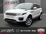 Land Rover Range Rover Evoque 2.0 4WD "Pure" Allwetter - Land Rover Range Rover Evoque Pure mit Diesel-Antrieb