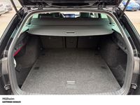 Skoda Octavia - Vorschau Bild 8