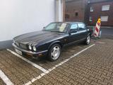 Jaguar xj Sport Tausch möglich kein TÜV - gebrauchte Jaguar XJS aus dem Jahr 1995