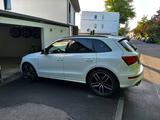 Audi SQ5 3.0 TDI competition tiptronic quattro - - Audi SQ5 Gebrauchtwagen in Mülheim (Ruhr)