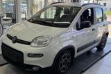 Fiat City Life hybrid 5-Sitzer PDC - Fiat Panda: Van