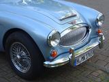 Austin Healey Andere - Austin Healey aus 1965