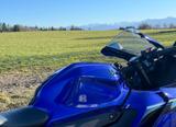 Yamaha YZF R125  QUICKSHIFTER! NUR NOCH WENIGE TAGE! - YAMAHA SPORTLER YZF R 125