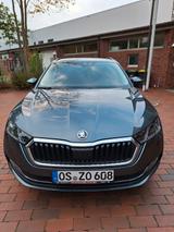 Skoda Octavia 2.0 TSI 140kW DSG 4x4 STYLE COMBI STYLE - Skoda Octavia mit Benzin-Antrieb: Allradantrieb, Kombi, 2.0