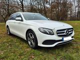 Mercedes-Benz E 220 d T Autom. -Avantgarde - weiße Mercedes-Benz E 220