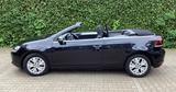 Volkswagen Golf 1.6 TDI BlueMotion Technology Cabriolet... - Volkswagen Golf mit Diesel-Antrieb: Cabrio, 1.6
