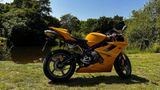 Triumph Daytona 675 - TRIUMPH 675 DAYTONA