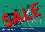 QWIC MIRA DAILY  *522 WH*  *SALE* - QWIC E-Bikes