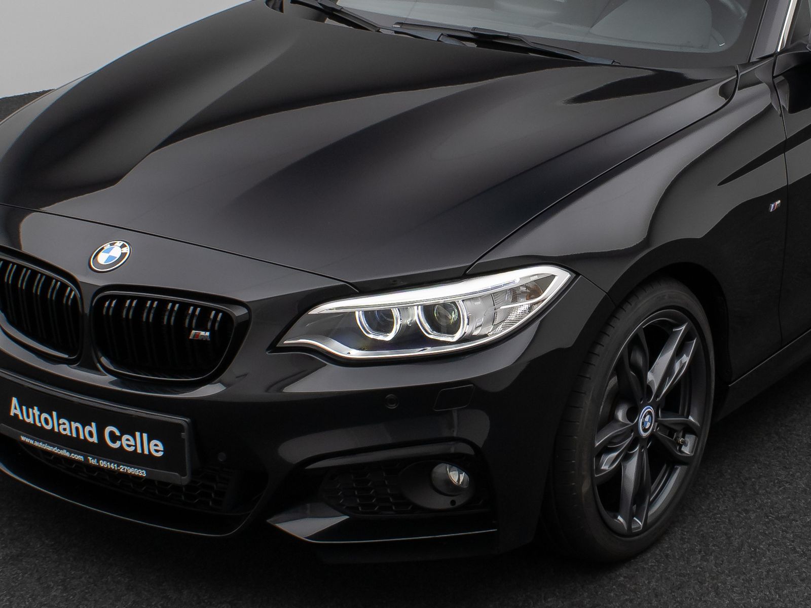 Fahrzeugabbildung BMW 228i Coupé M Sport NaviPro DAB HiFi Xenon PDC