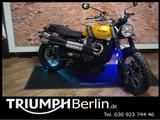 Triumph SCRAMBLER 900  AKTIONSANGEBOT - Offers