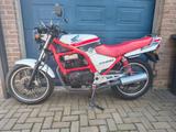 Honda CB450s - Offers