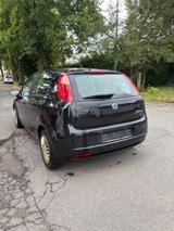 Fiat *Punto 1.3 Multijet 16V 75 Active Active* - Fiat Punto: 16v
