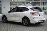 Ford Kuga 2.0 EcoBlue ST-Line X 4x4 B&O Kamera HeadUp - Ford Kuga ST-Line mit Diesel-Antrieb