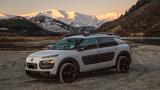 Citroën Citroen C4 Cactus BlueHDi 100 S&S ETG6 Shine - silberne Citroën C4 Cactus