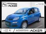 Fiat Panda NEU 1.0 GSE Hybrid DAB Klima - Fiat Panda: Kombi