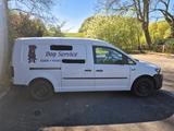 Volkswagen Caddy 2,0TDI 75kW  Dog Walker Ausbau - Volkswagen: Kleinbus, Ausbau