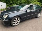 Mercedes-Benz C 270 T CDI*Aut*Avantgarde*BRABUS OPTIK*TÜV NEU* - Mercedes-Benz C 270: Kombi