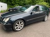 Mercedes-Benz C 270 T CDI*Aut*Avantgarde*BRABUS OPTIK*TÜV NEU* - Mercedes-Benz C 270: Kombi