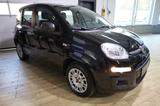 Fiat Panda Easy/1Hand/Klima/Org.7620KM - Fiat Panda Gebrauchtwagen in Wuppertal
