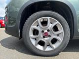 Fiat Panda Rock 4x4 SHZ Winterpaket Alu Klima Beheizb - Fiat Panda mit Diesel-Antrieb