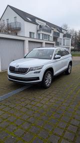 Skoda Kodiaq 2.0 TDI DSG ACTIVE - 7-Sitzer - Skoda Kodiaq: Active