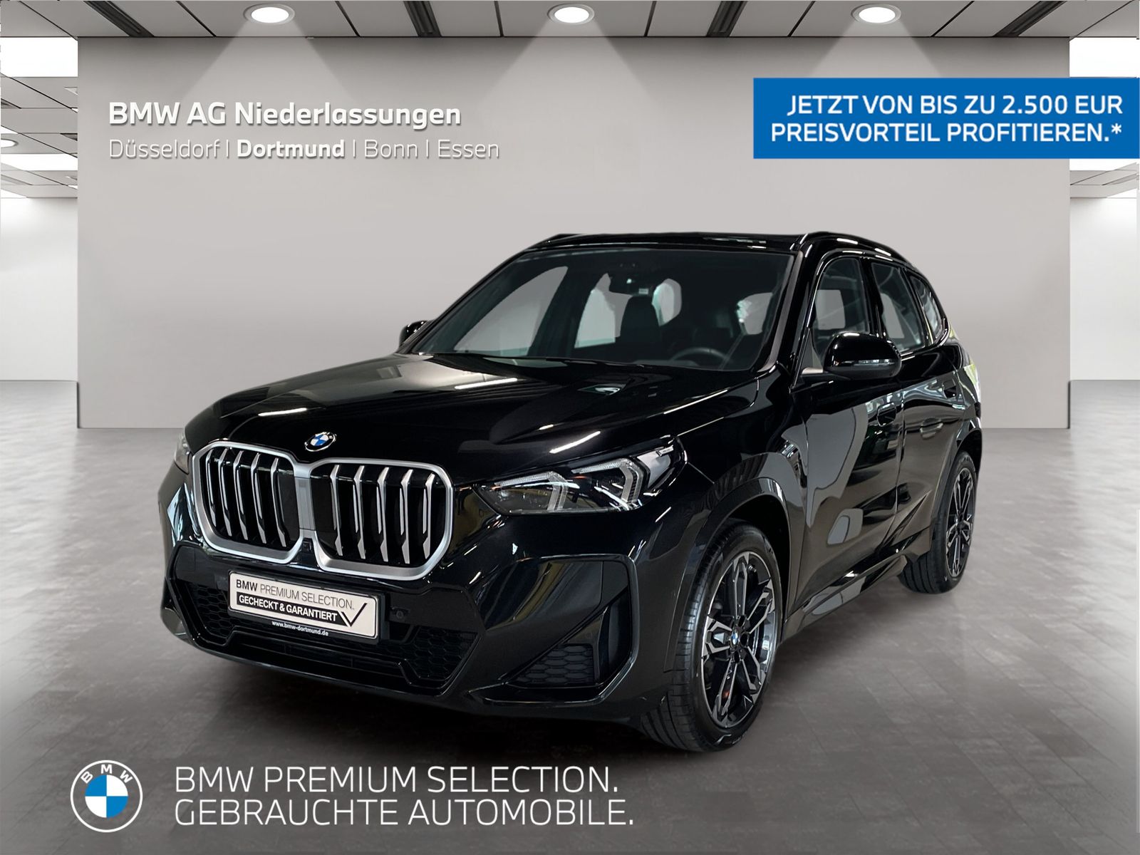 BMW X1 sDrive20i M Sport AHK Driv.Assist.Prof LED foto 1