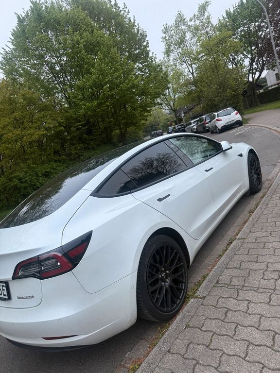 Image of Other Other