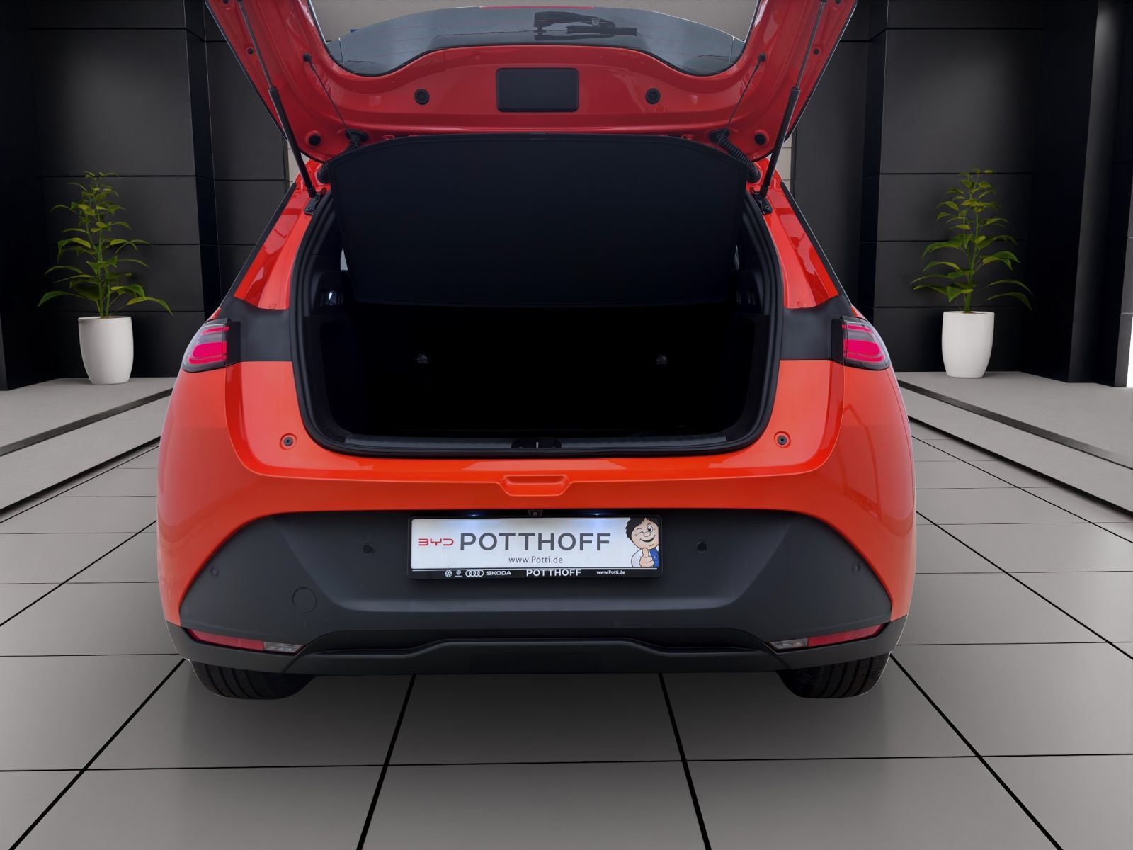 BYD DOLPHIN