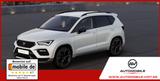 Cupra Ateca 1.5 TSI DSG 150 PS 5J.-Garantie/NAVI/19... - Cupra Ateca Neuwagen