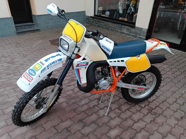 KTM 250 gs ED