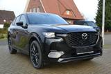 Mazda 2026 Mazda CX-60 e-SKYACTIV D 8AT AWD Homura - Mazda 2: Vollleder, mit Apple Carplay