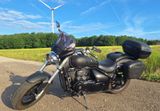 Suzuki M800 - Offers matching your search criteria