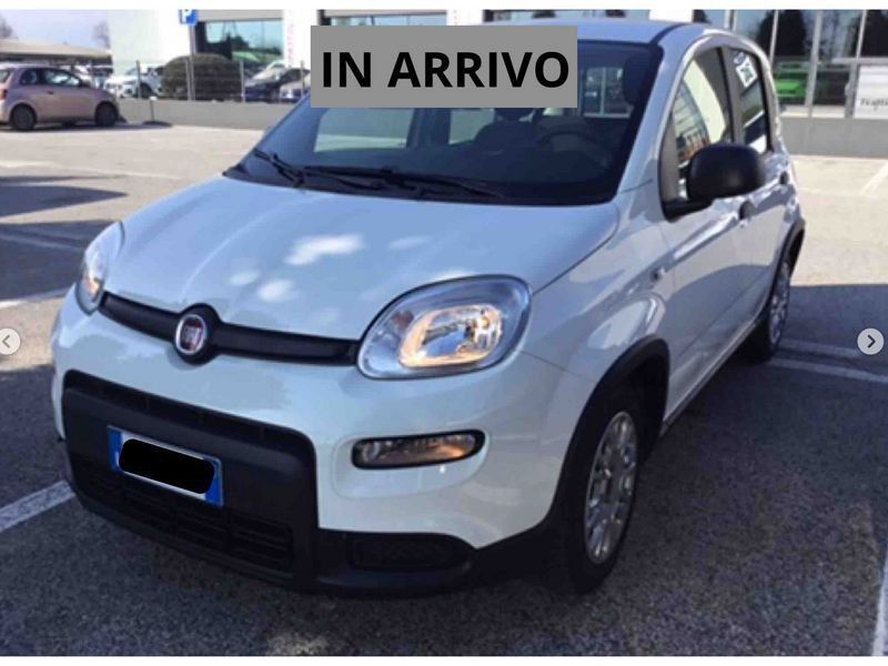 Image of Fiat Panda
