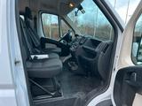 Fiat Ducato - TÜV Neu - Top Zustand  - Fiat Ducato: Kleinbus, 7 Sitzer