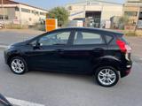 Ford FORD - Fiesta - 1.2 82 CV 5p. Black & White Ed. - Ford Fiesta: Black