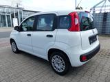 Fiat Panda Easy 1.2 KLIMA/1.Hand/Servo/Allwetterreif. - Fiat Panda