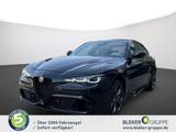Alfa Romeo Giulia Quadrifoglio Oro Sondermodell Akrapovic - Alfa Romeo Giulia