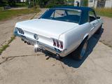Ford Mustang - gebrauchte Ford Mustang aus dem Jahr 1967