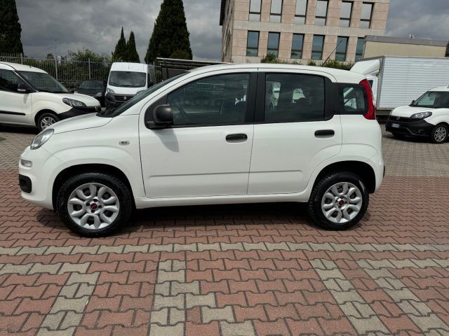 Image of Fiat Panda