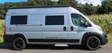 Globecar Summit 600 Plus, Alarm, Busbiker, 200AH LiFePo4 - Offers